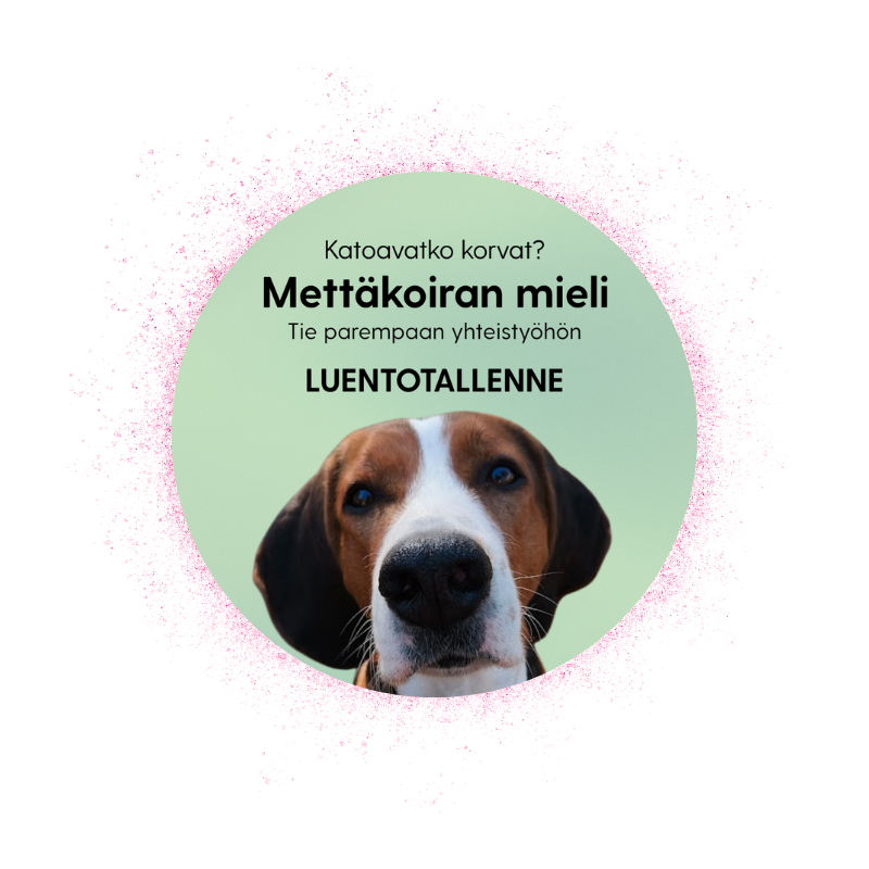 Mettäkoiran mieli: tie parempaan yhteistyöhön -luentotallenne