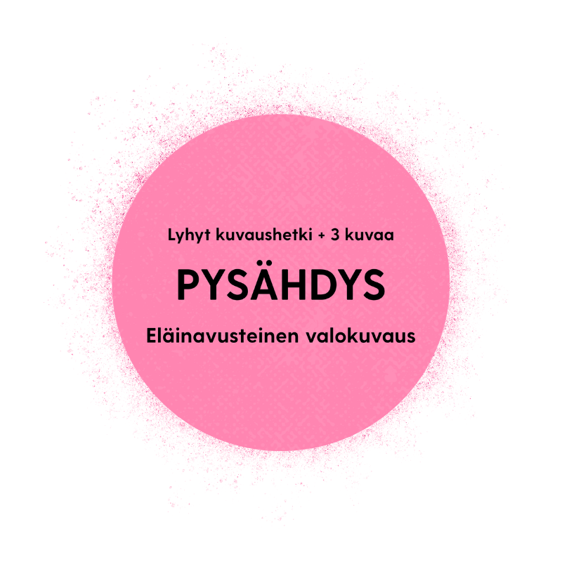 PYSÄHDYS - Eläinavusteinen valokuvaus Jyväskylässä