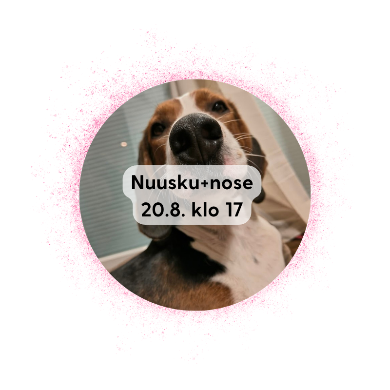 Äänekoski 20.8. klo 17: Nuuskuryhmä + nosework