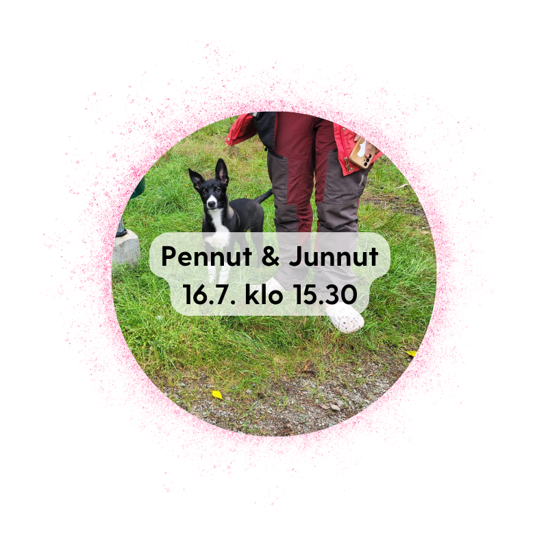 Vieremä 16.7. klo 15.30: Pennut & junnut