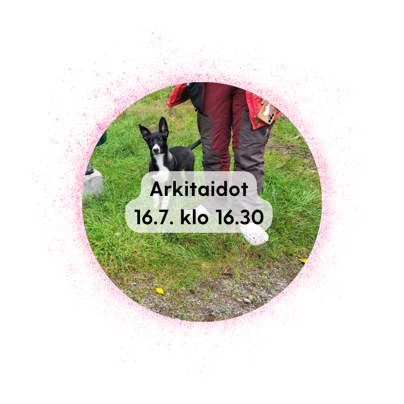 Vieremä 16.7. klo 16.30: Arkitaidot