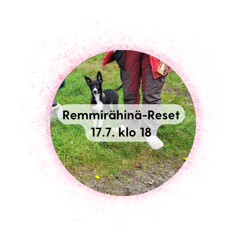 Sonkajärvi 17.7. klo 18: Remmirähinä-Reset