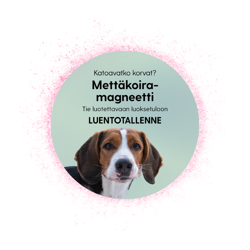 Mettäkoiramagneetti: tie luotettavaan luoksetuloon -luentotallenne