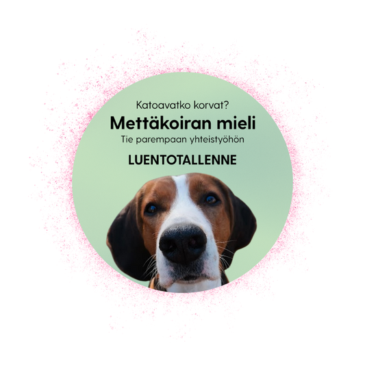 Mettäkoiran mieli: tie parempaan yhteistyöhön -luentotallenne