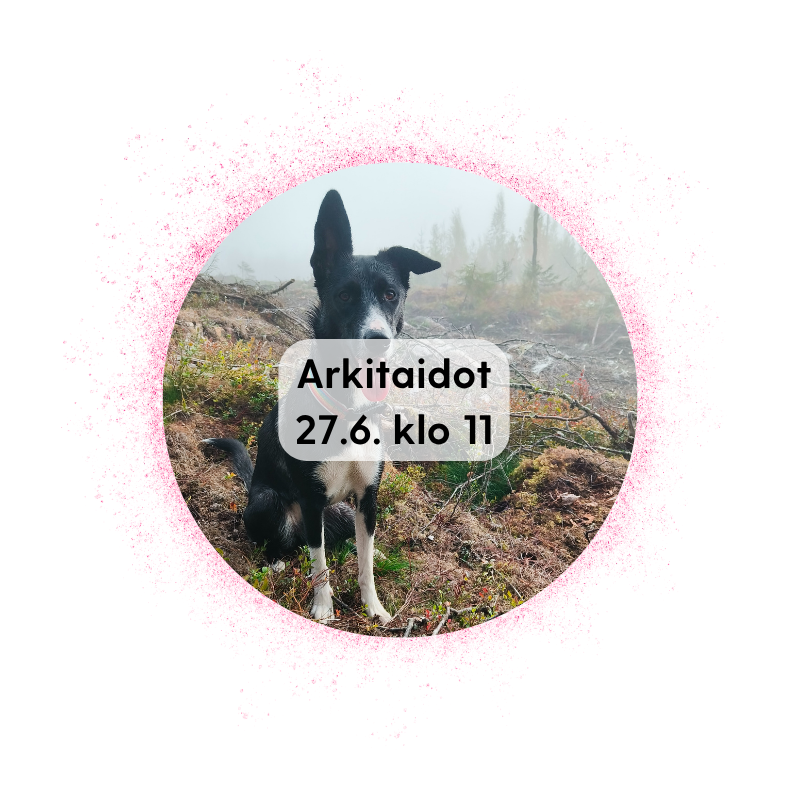 JKL 27.6. klo 11: Arkitaidot