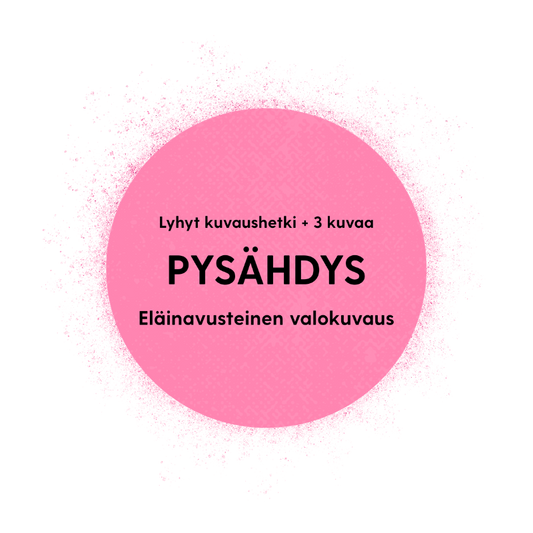 PYSÄHDYS - Eläinavusteinen valokuvaus Jyväskylässä