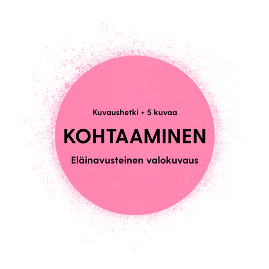 KOHTAAMINEN - Eläinavusteinen valokuvaus Jyväskylässä