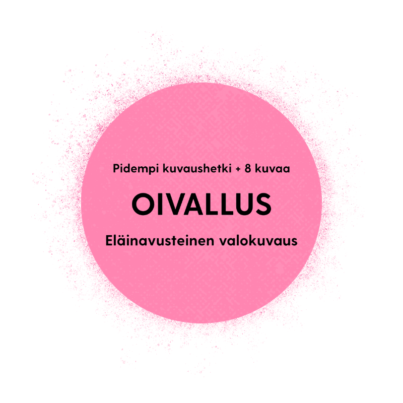 OIVALLUS - Eläinavusteinen valokuvaus Jyväskylässä