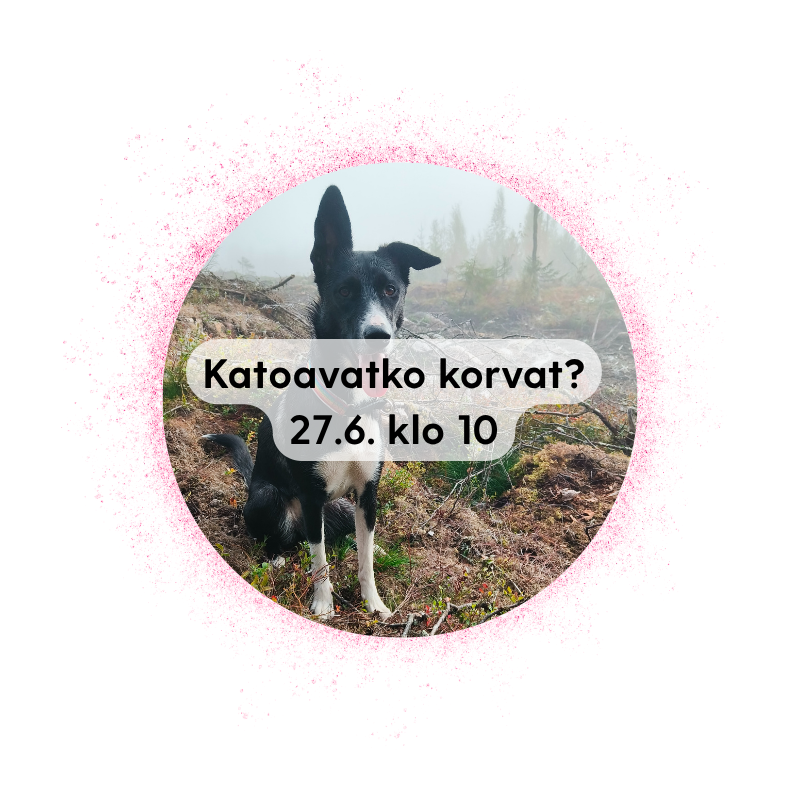 JKL 27.6. klo 10: Katoavatko korvat? - Luoksetulo ja hallinta