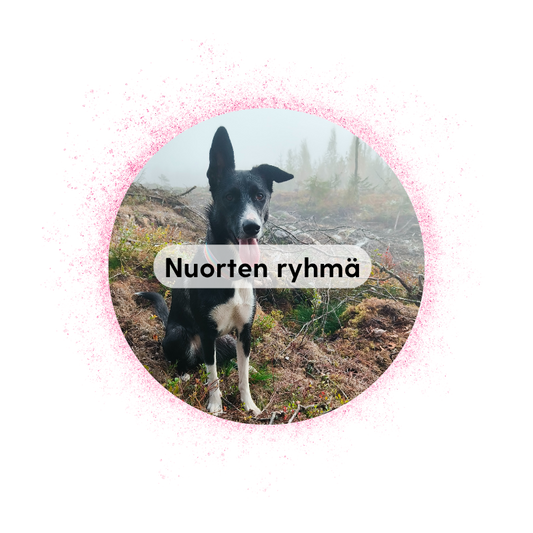 Jyväskylä 29.8. klo 14: Nuorten ohjaajien ryhmä
