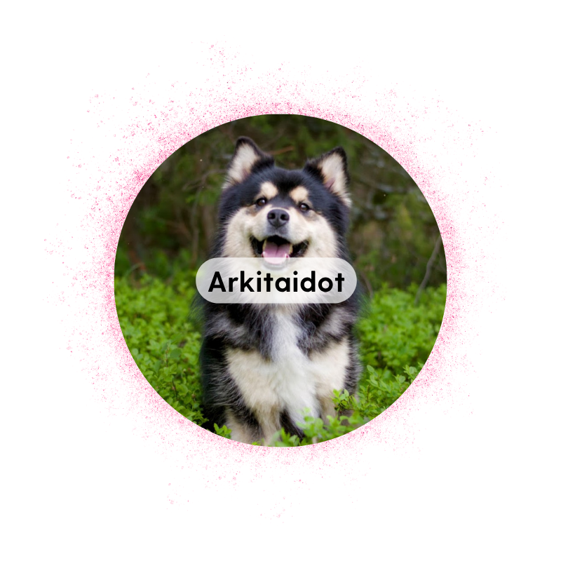 Muurame 25.9. klo 18: Arkitaidot