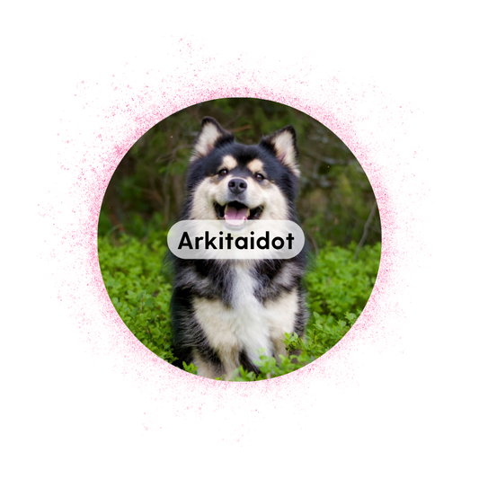 Muurame 25.9. klo 18: Arkitaidot
