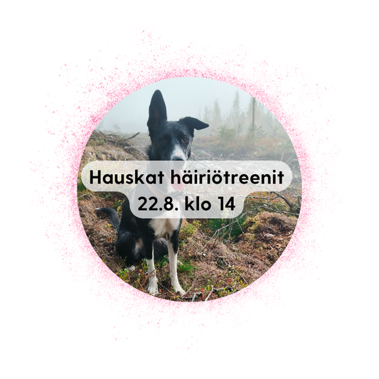 Jyväskylä 22.8. klo 14: Hauskat häiriötreenit