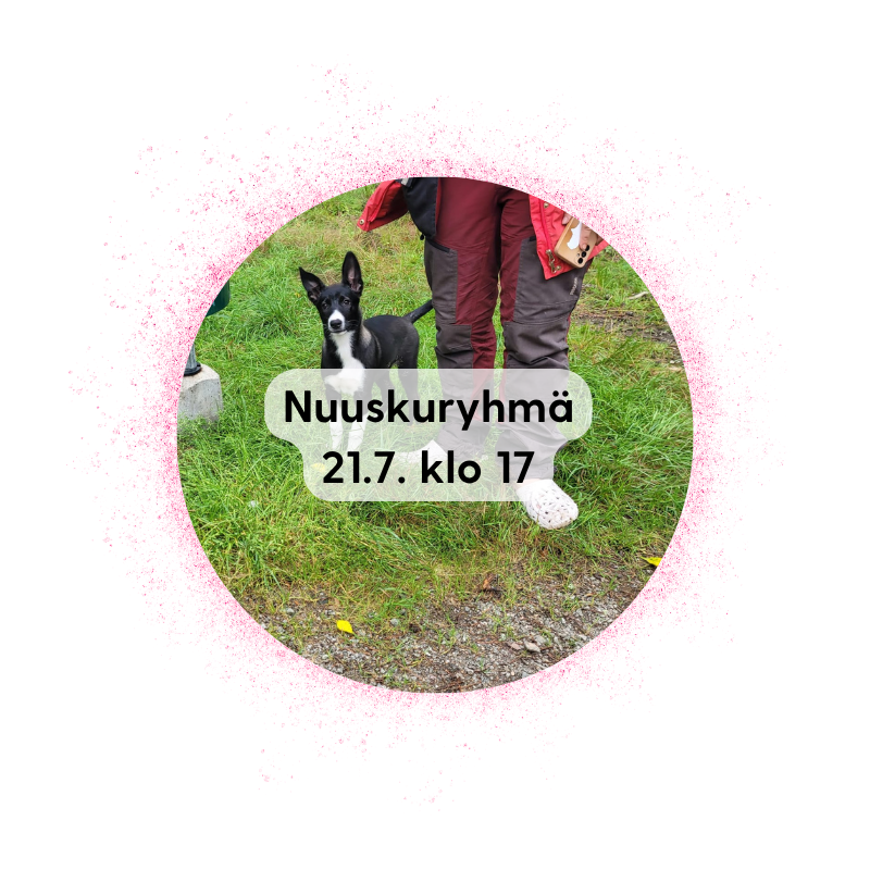 Iisalmi 21.7. klo 17: Nuuskuryhmä + nosework