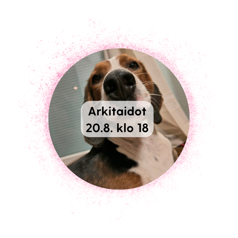 Äänekoski 20.8. klo 18: Arkitaidot