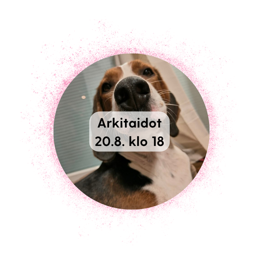 Äänekoski 20.8. klo 18: Arkitaidot