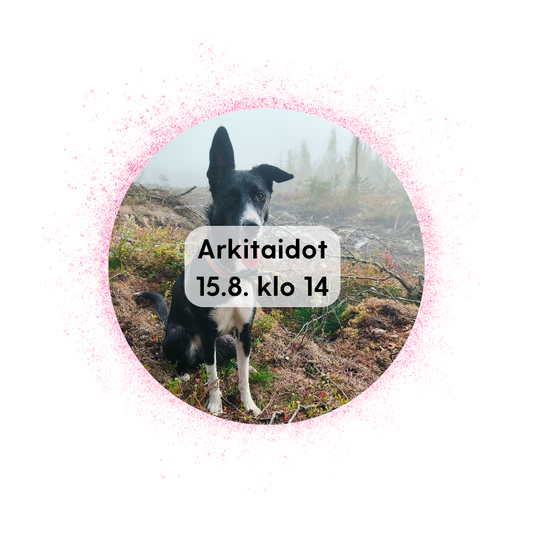 JKL 15.8. klo 14: Arkitaidot