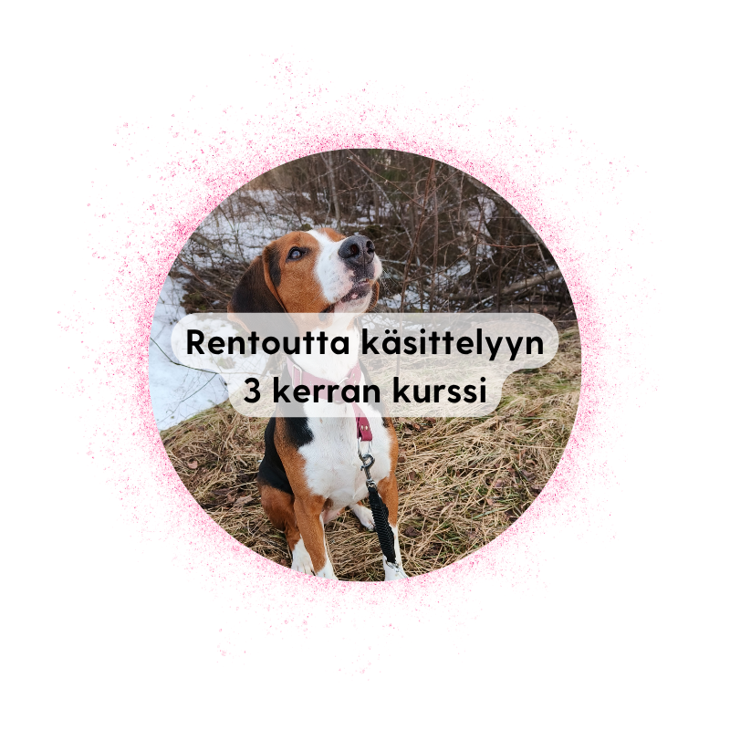 Rentoutta käsittelyyn -kurssi (3 krt) | JKL | alk. la 15.8. klo 16