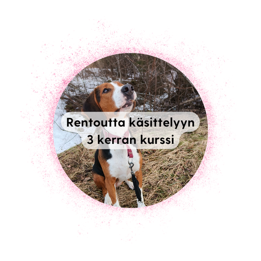 Rentoutta käsittelyyn -kurssi (3 krt) | JKL | alk. la 15.8. klo 16