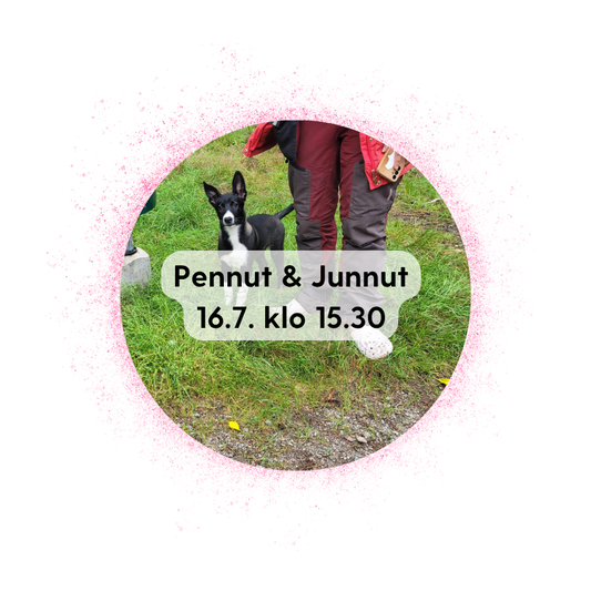 Vieremä 16.7. klo 15.30: Pennut & junnut