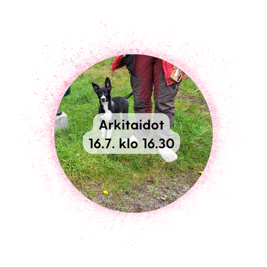 Vieremä 16.7. klo 16.30: Arkitaidot