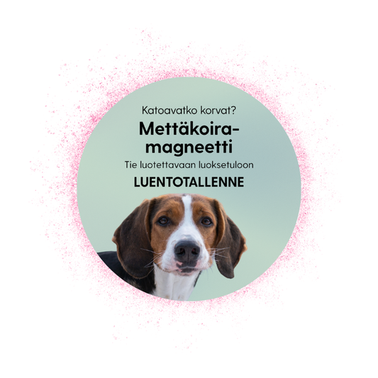 Mettäkoiramagneetti: tie luotettavaan luoksetuloon -luentotallenne