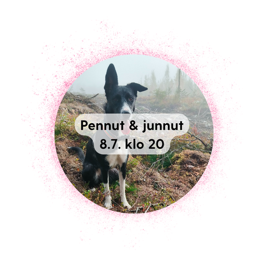 KAVERIDIILI JKL 8.7. klo 20: Pennut & Junnut, 2 koirakkopaikkaa