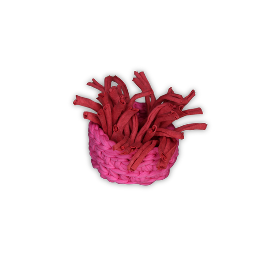 Tasku-Hapsu namipallo