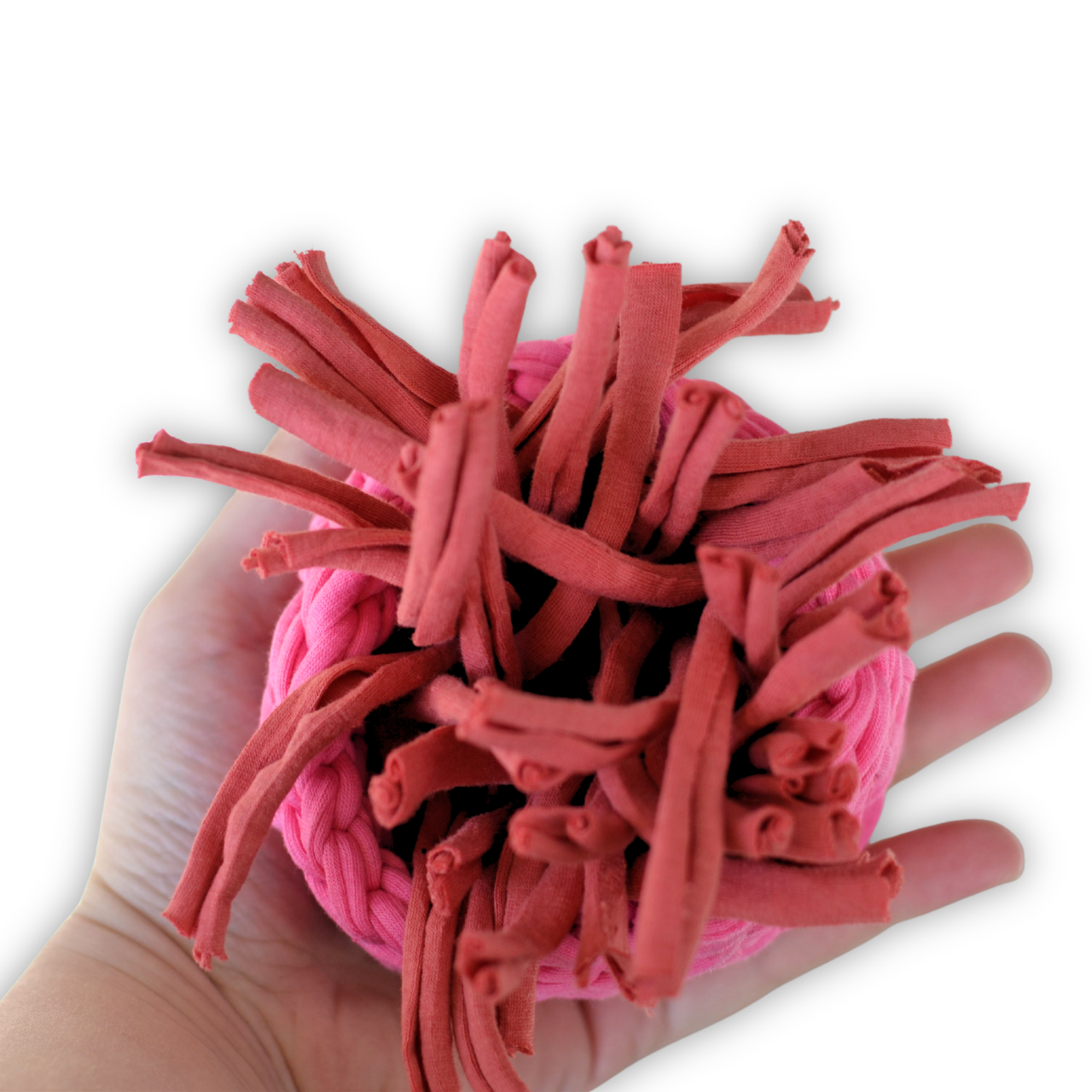 Tasku-Hapsu namipallo